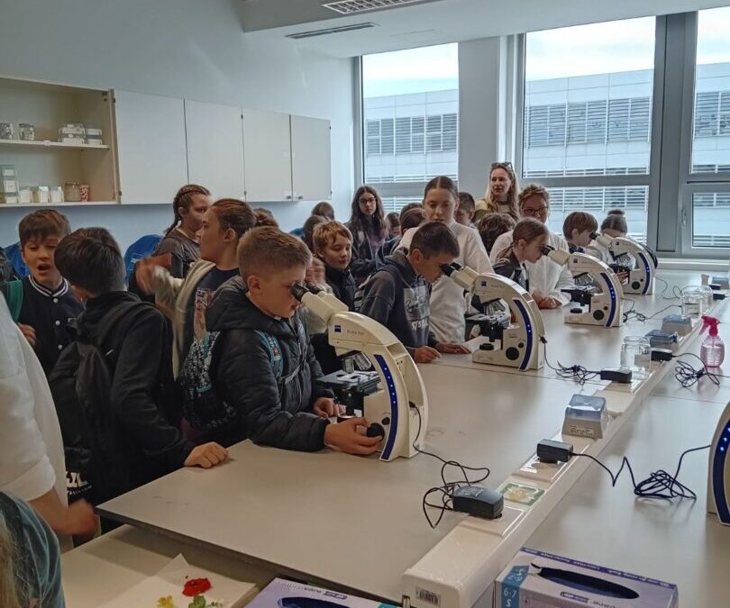 Četvrtaši na Festivalu znanosti